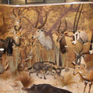 IMG_4411_jpg-1353744082