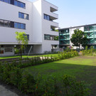 115_6635_JPG-1353747784