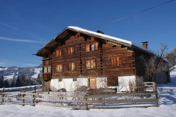 DSC03534.JPG