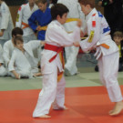 DSCN7800_JPG-1353748271