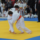 DSCN7806_JPG-1353748293