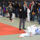 DSCN7808_JPG-1353748302