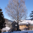 DSC03538.JPG