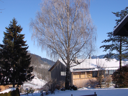 DSC03538.JPG