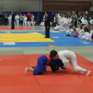 DSCN7834_JPG-1353748380