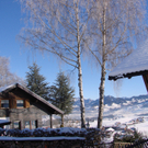 DSC03540.JPG