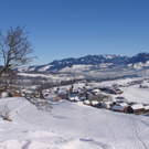 DSC03542.JPG