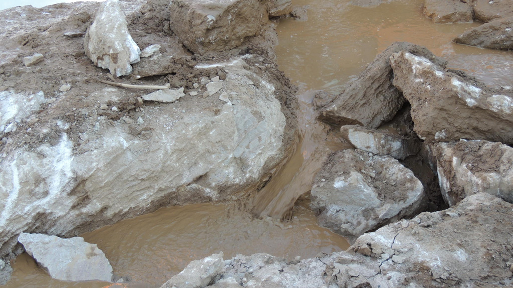 DSCN5407_JPG-1353749457