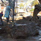 DSCN5410_JPG-1353749470