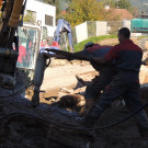 DSCN5412_JPG-1353749479