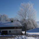 DSC06888.JPG