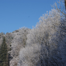 DSC06890.JPG