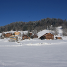 DSC06898.JPG