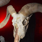 Krampuslauf in Wals