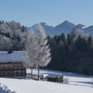 DSC06914.JPG