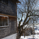 DSC06916.JPG