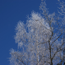 DSC06917.JPG