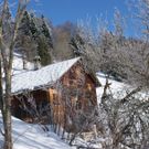 DSC06924.JPG