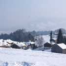 DSC06941.JPG