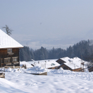 DSC06942.JPG