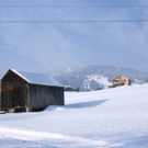 DSC06952.JPG