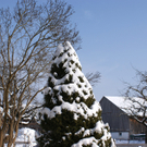 DSC06979.JPG
