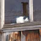 DSC06981.JPG