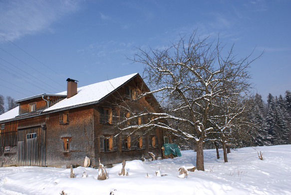 DSC06987.JPG