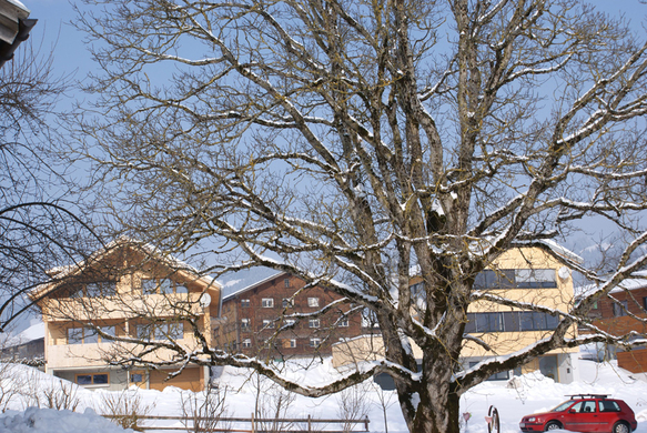 DSC07016.JPG