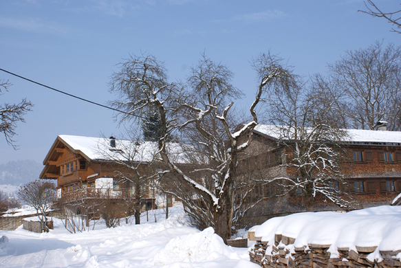 DSC07025.JPG