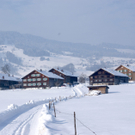 DSC07047.JPG