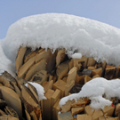 _DSC03080002.JPG