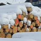 _DSC03140006.JPG