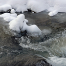 _DSC03270014.JPG