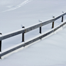 _DSC03380019.JPG