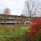 DSC_0065-1.jpg