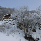 _DSC03440024_1.JPG