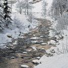 _DSC03500027_1.JPG