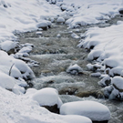 _DSC03550030_1.JPG
