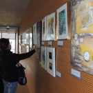 DSCN9455_JPG-1353781292