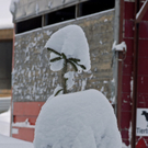 _DSC03640035.JPG