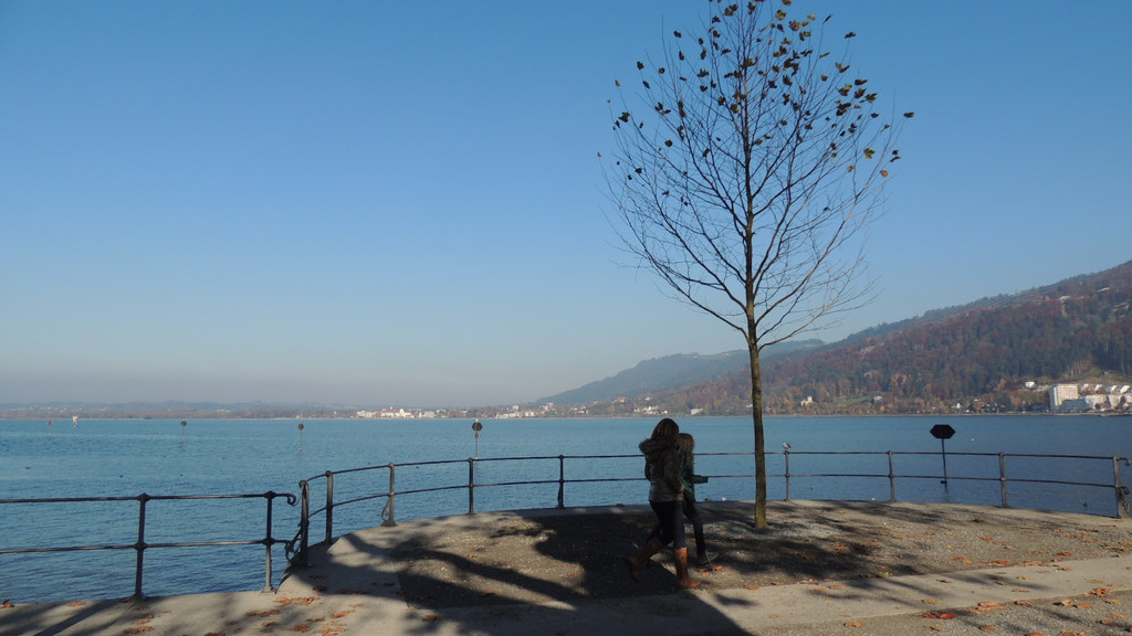 DSCN8063_JPG-1353781891