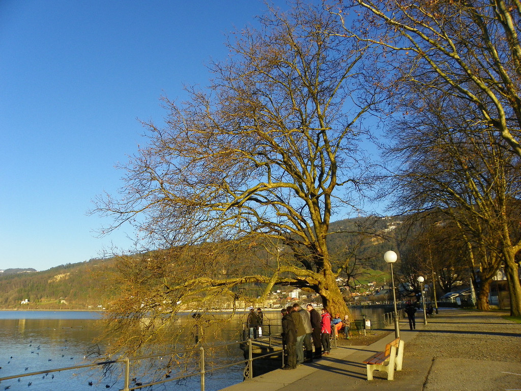 113_6348_JPG-1353782903