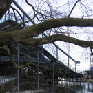 IMG_9403_JPG-1353782229