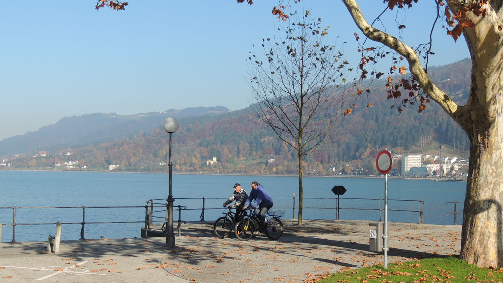 DSCN8052_JPG-1353781856