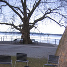 IMG_9444_JPG-1353782311