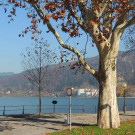 DSCN8054_JPG-1353781864