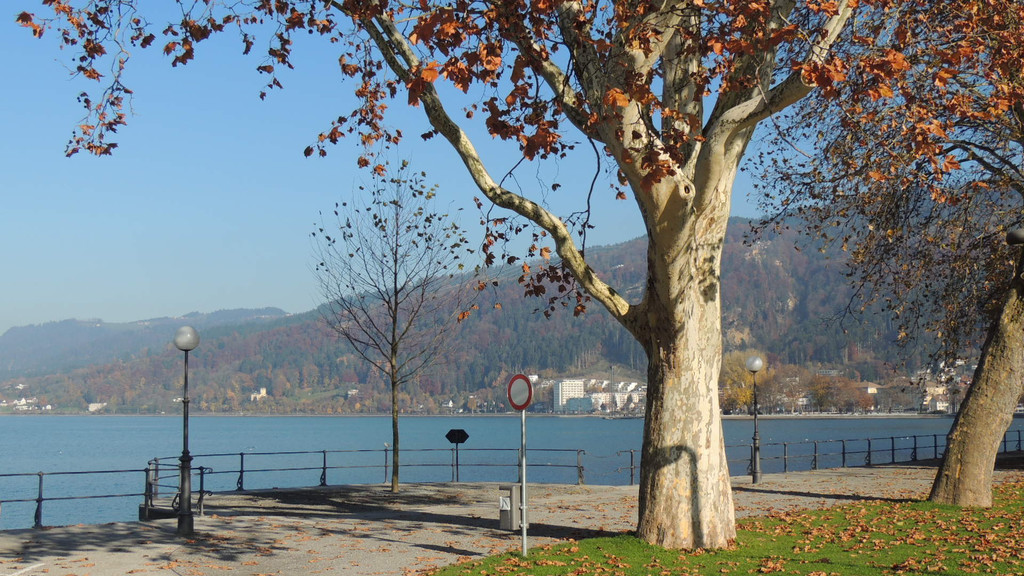 DSCN8054_JPG-1353781864