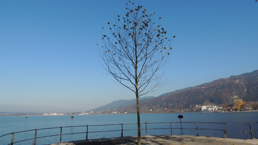 DSCN8055_JPG-1353781886