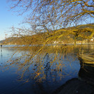 113_6343_JPG-1353782889